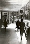 Padova-Via Altinate,1975-Sulla destra la tavola calda Stoppato.(Adriano Danieli)
